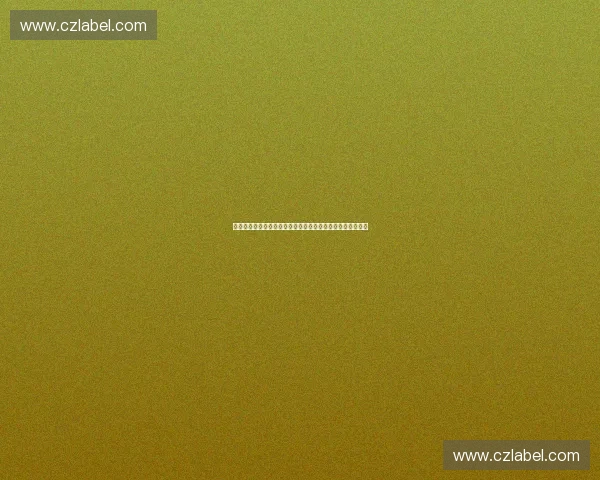 以教练员管理制度为核心的体育人才培养与规范运行机制研究